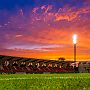 1.8.2017 FC Rot-Weiss Erfurt - F.C. Hansa Rostock 0-1_104